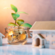 From Rental Properties to Wholesaling: 6 Ways to Invest in Real Estate and Build Long-Term Wealth